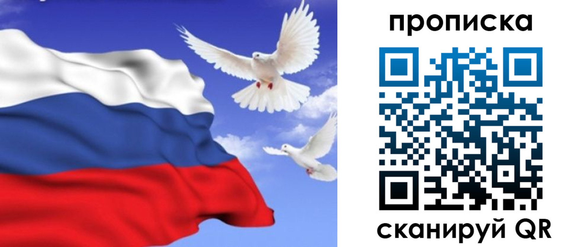 временная регистрация гарантия в Московской области